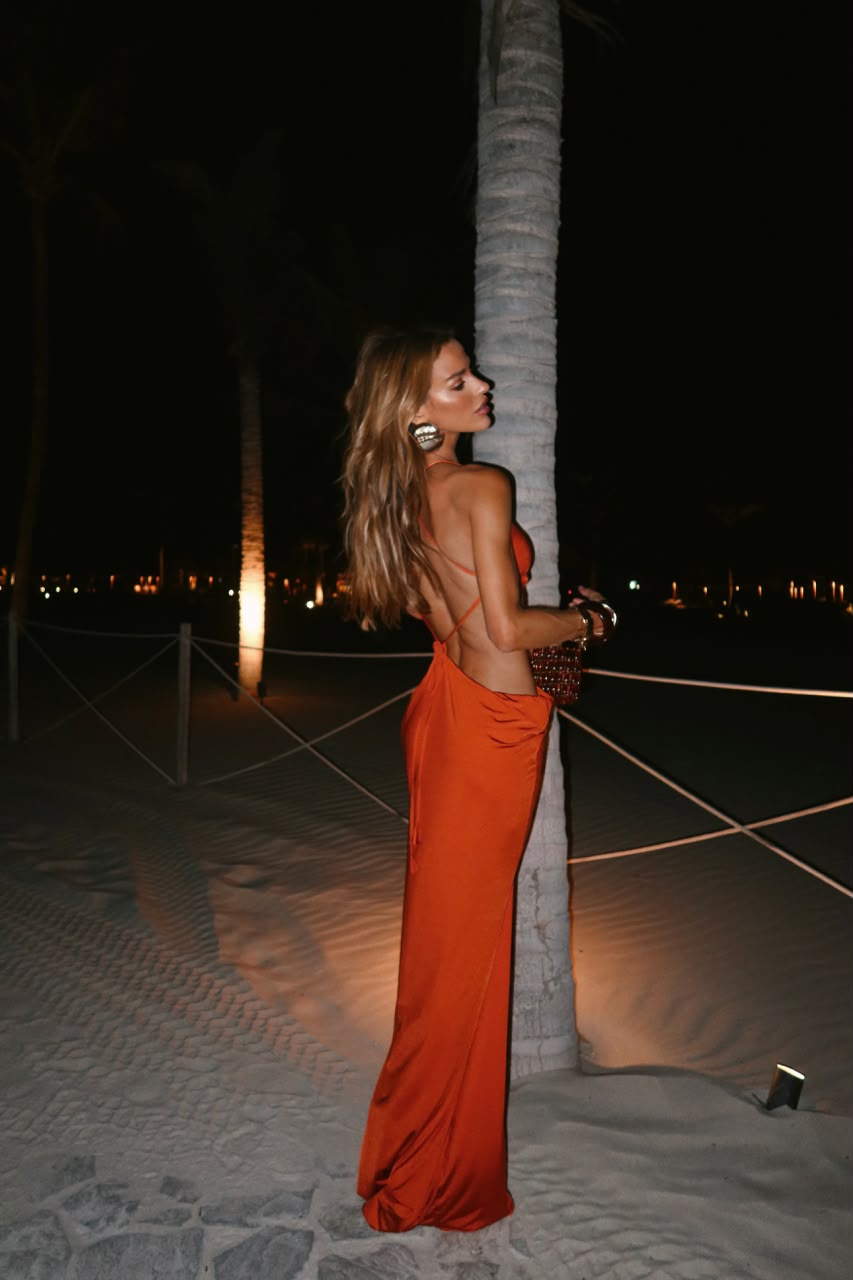 Vestido Pavanelli - Imagem 6